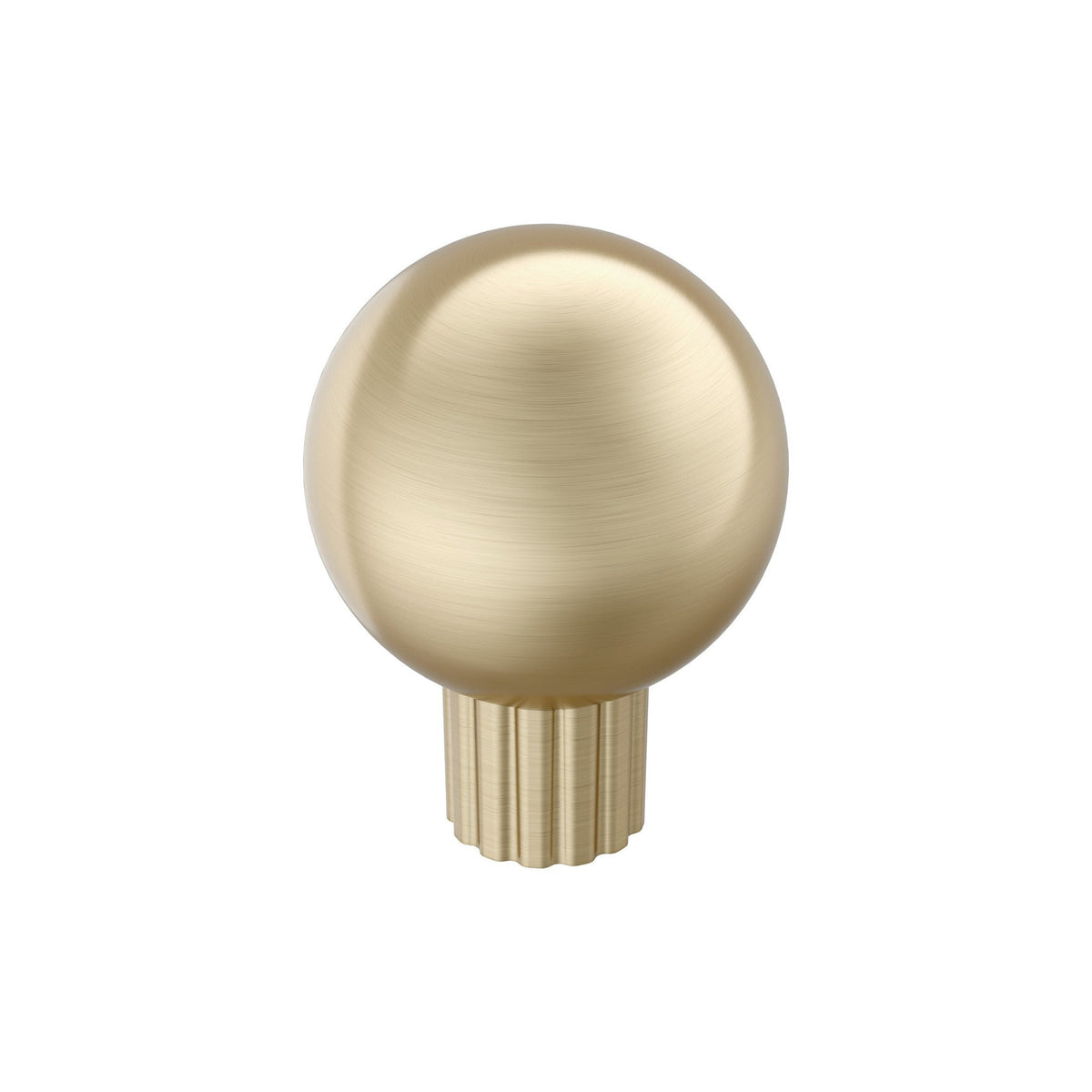 AMEROCK Cowrie Cabinet Knobs & Pulls - Golden Champagne